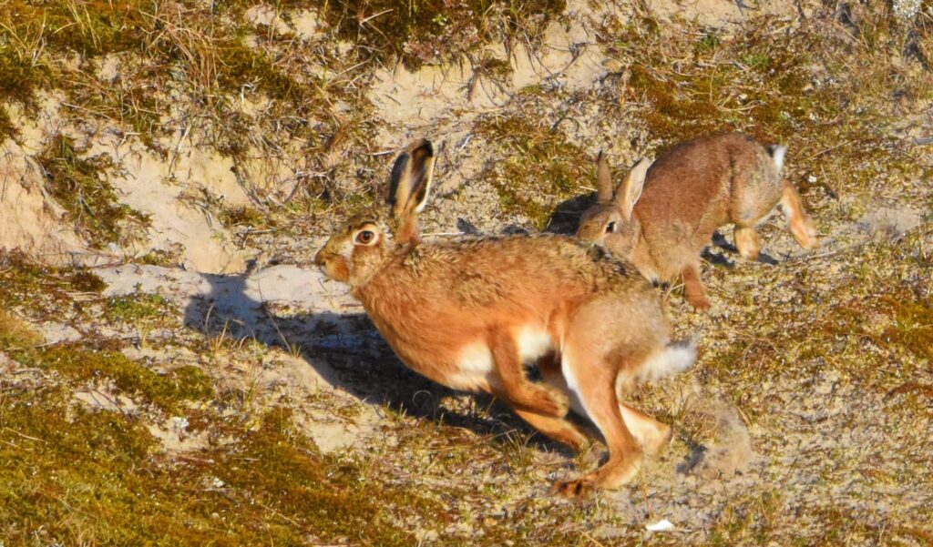 Natuurfotograaf