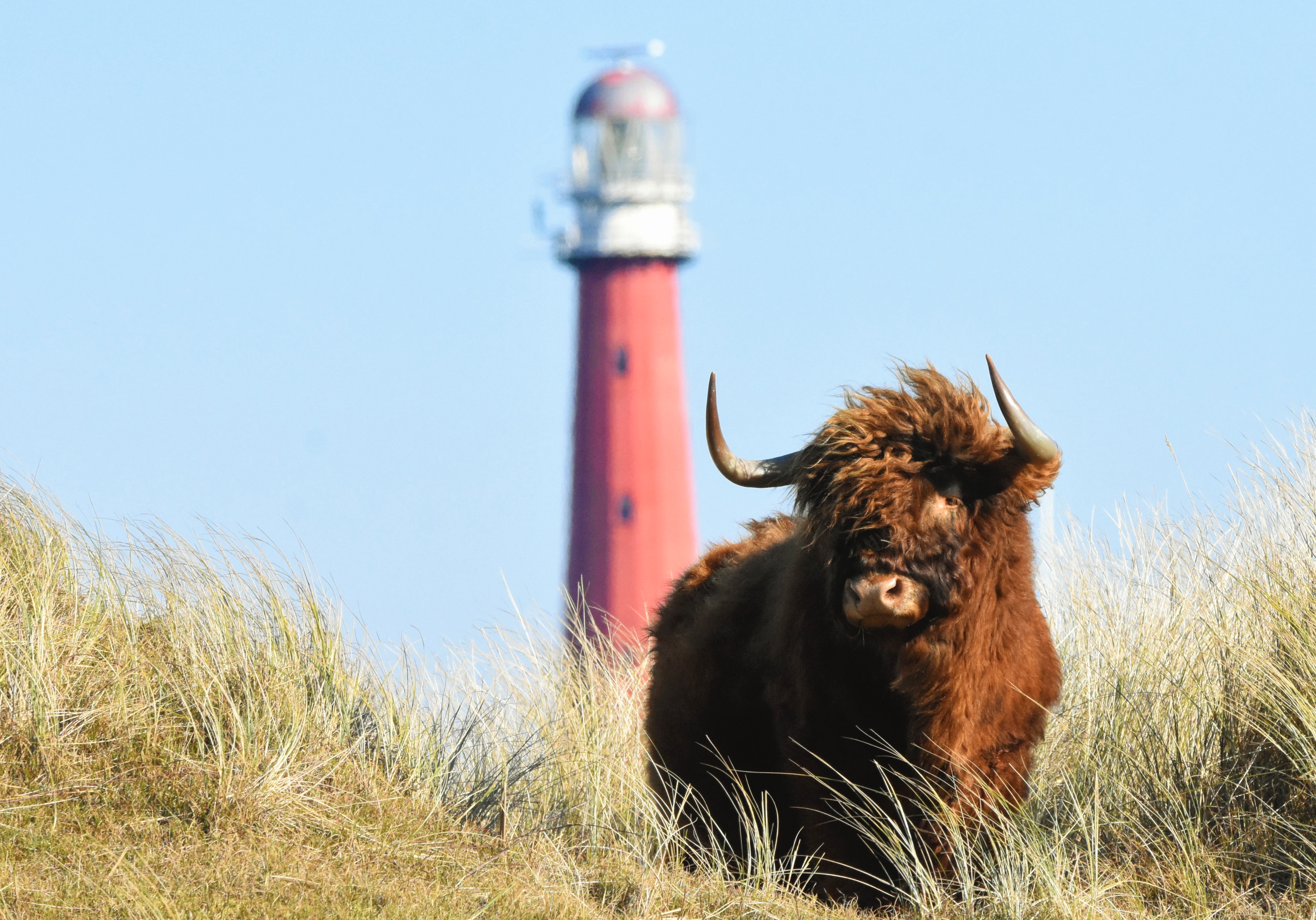 Natuurfotograaf