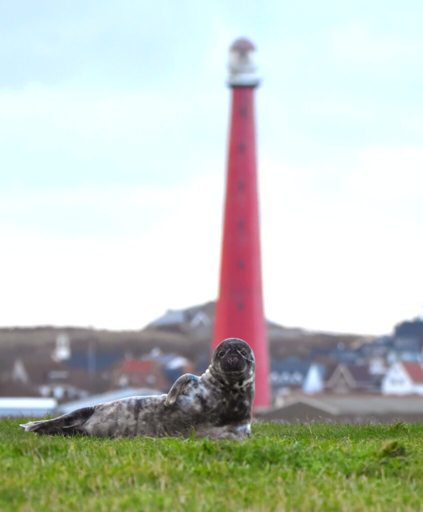 Den Helder - Walter Das
